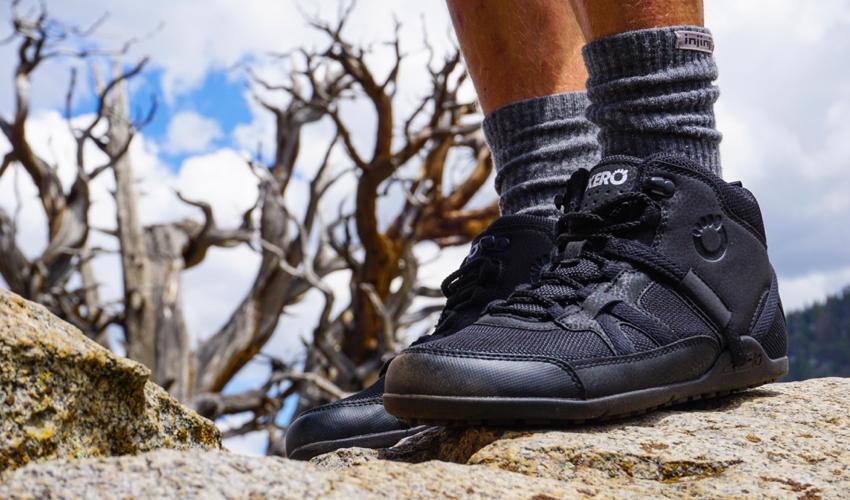 A hiker wearing a pair of Xero DayLite Hiker EV hiking boots in black with a gnarly old tree in the background