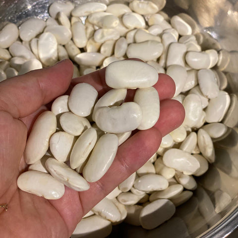 giant beans
