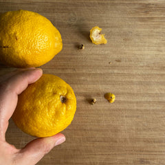 Lacto Fermented Lemons (Salted Lemons)