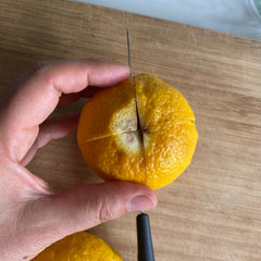 Lacto Fermented Lemons (Salted Lemons)