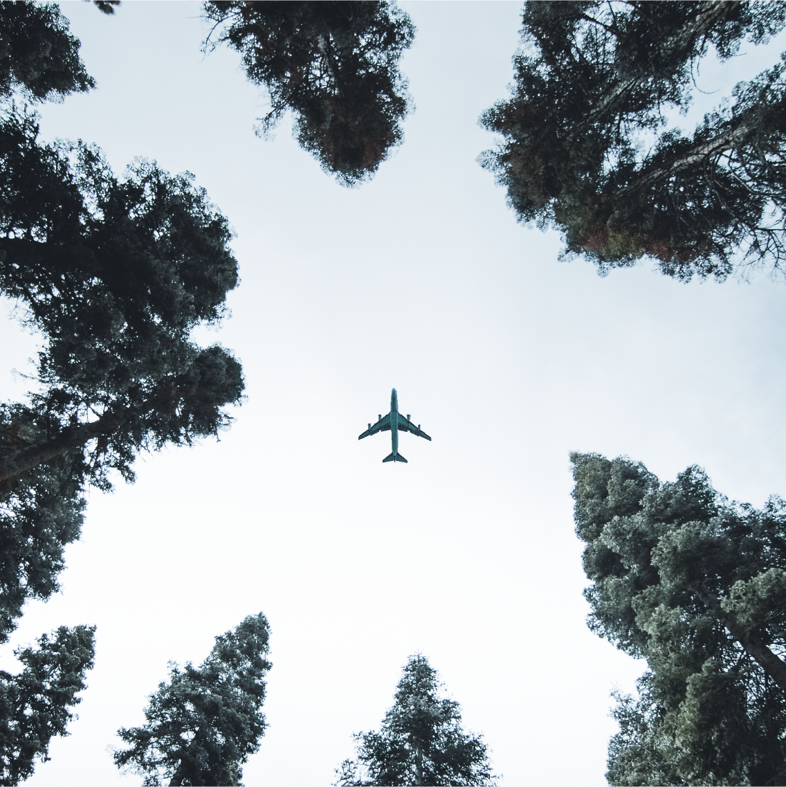 Plane Reducing Emission