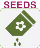 Seed selection advice for the 28 Day Indoor Garden Challenge
