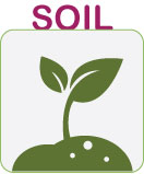 Soil suggestion for the 28 Day Indoor Garden Challenge