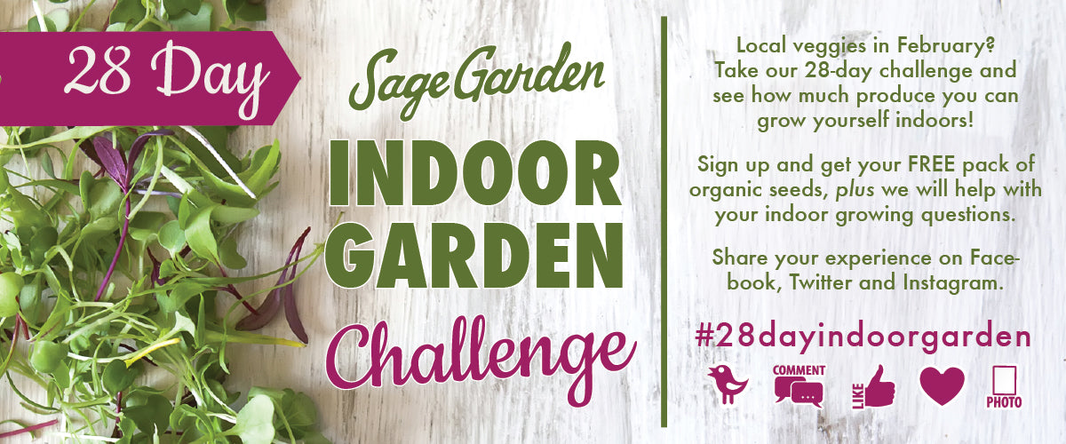 28 Day Indoor Garden Challenge