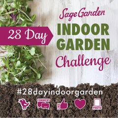 28 Day Indoor Garden Challenge at Sage
