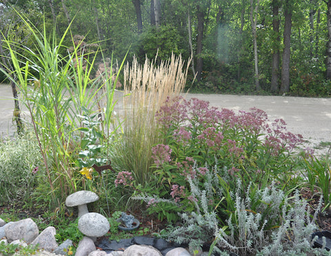 Perennial Garden at Sage Garden