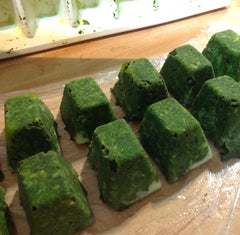 Pesto in ice cube trays at Sage Garden