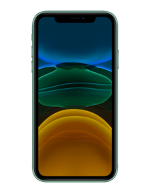 Caseology iPhone 11 Cases