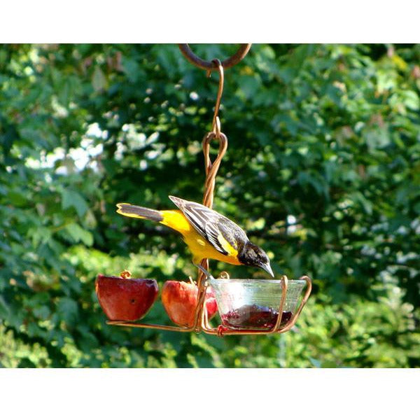 Fruit And Jelly Oriole Feeder Backyard Bird Centre