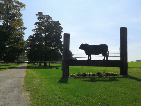 Custom Gateway for Angus Farm