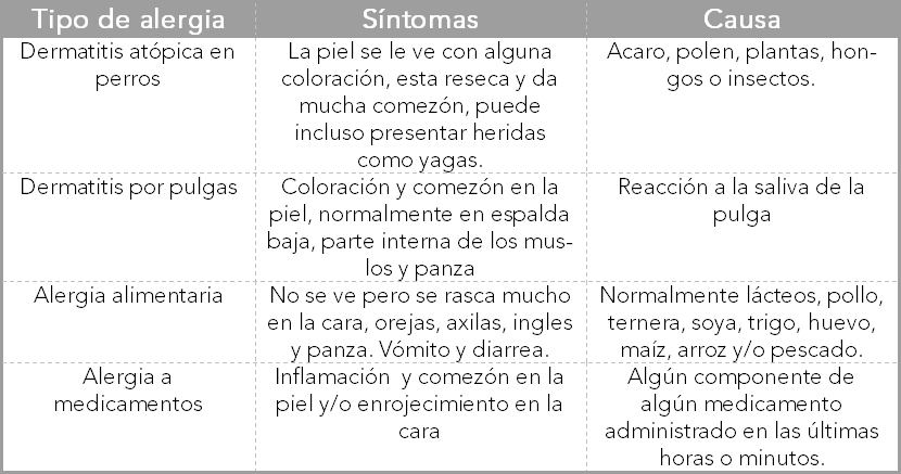 tipos de alergias en perros