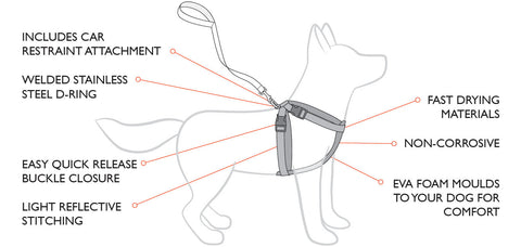 chestplate harness ezydog