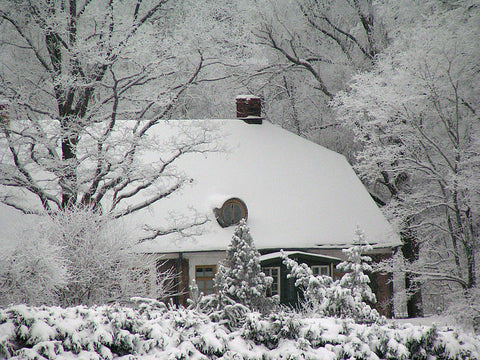 Anna Brigadere house in winter