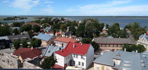 View from Bishop's castle