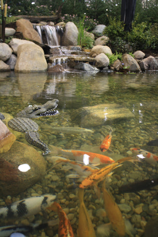 floating alligator decoy