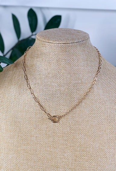 Dainty Details Chain Link Necklace, hinge closure, chain link chain