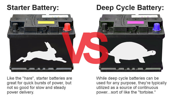 Battery rabbit vs turtle