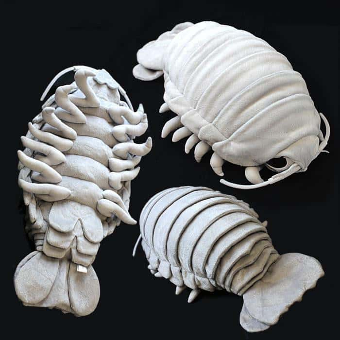 giant isopod plushie