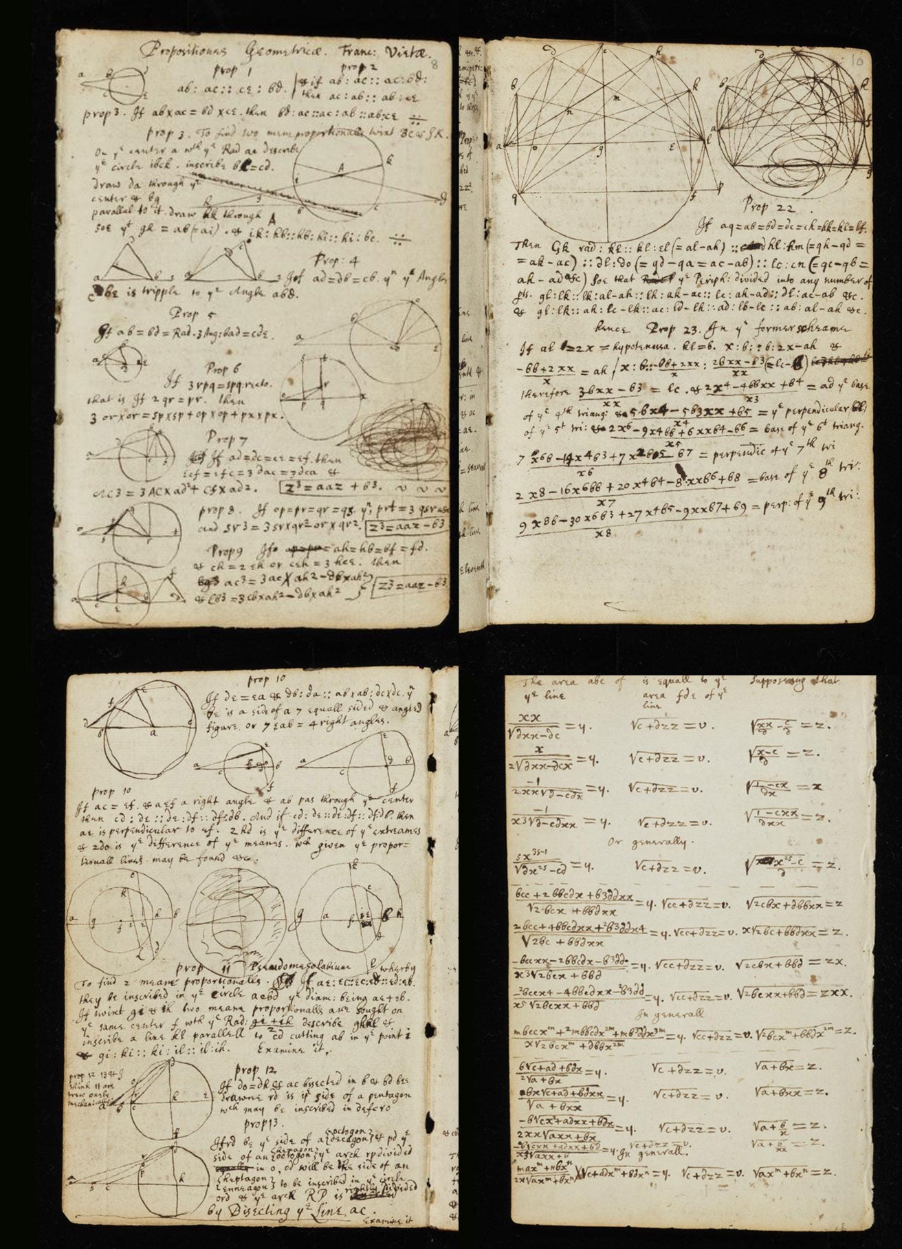 Newton's Notebooks