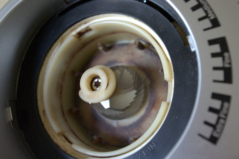 Clean coffee grinder burrs