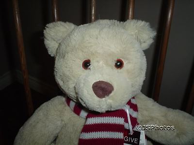 teddy bear with red scarf