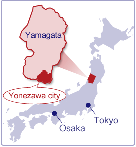 yonezawa