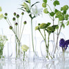 LSA International FLOWER Grand Posy Vase