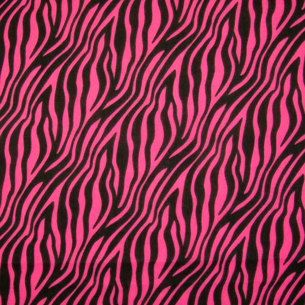 images of zebra print