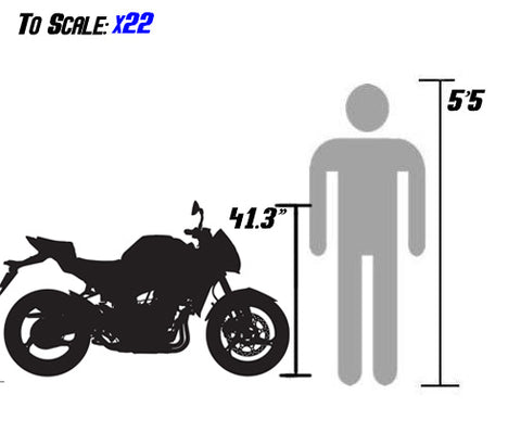 venom x22-GT x22GT 125cc sizing scale with person bd125-1 bd125-11 bd125-11GT size scale