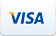 ISA Professional accepts Visa payments