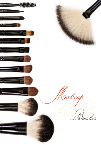 Makeup Brush Collection ISA Professional