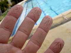 wrinkled fingers with pool