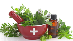 Essential Oils - Nature's First Medicines