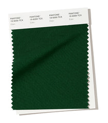 PANTONE 19-6050 Eden Eden is a stately forest green that plays on tradition.