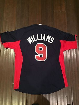 boston red sox ted williams jersey