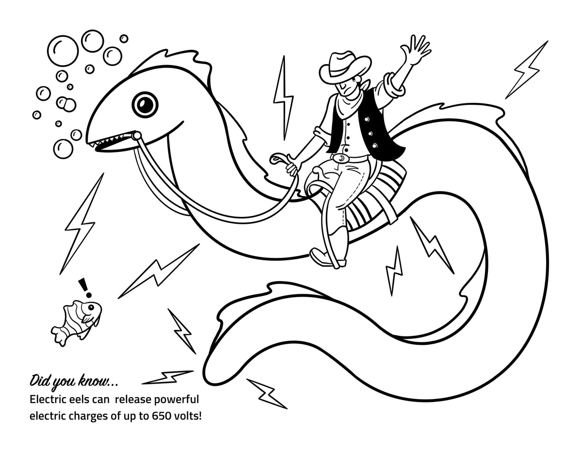 Electric Eel Coloring Page Activity – Circuit Scribe Official Store