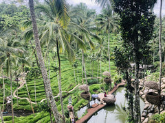 Indonesian Hillside View