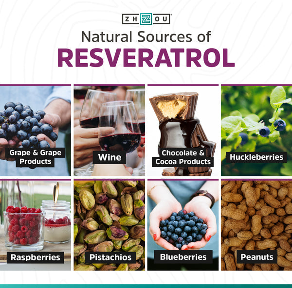 Zhou Nutrition Natural Sources of Resveratrol Infographic