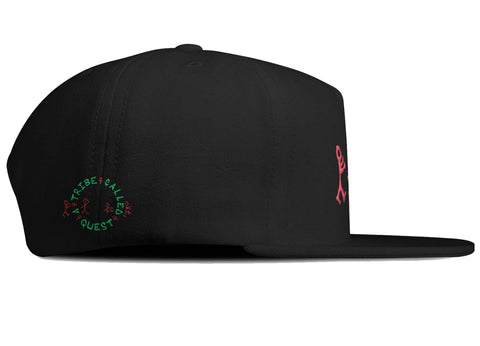 A TRIBE CALLED QUEST SNAPBACK HEAD CRACK NYC ATCQ POWER HAT