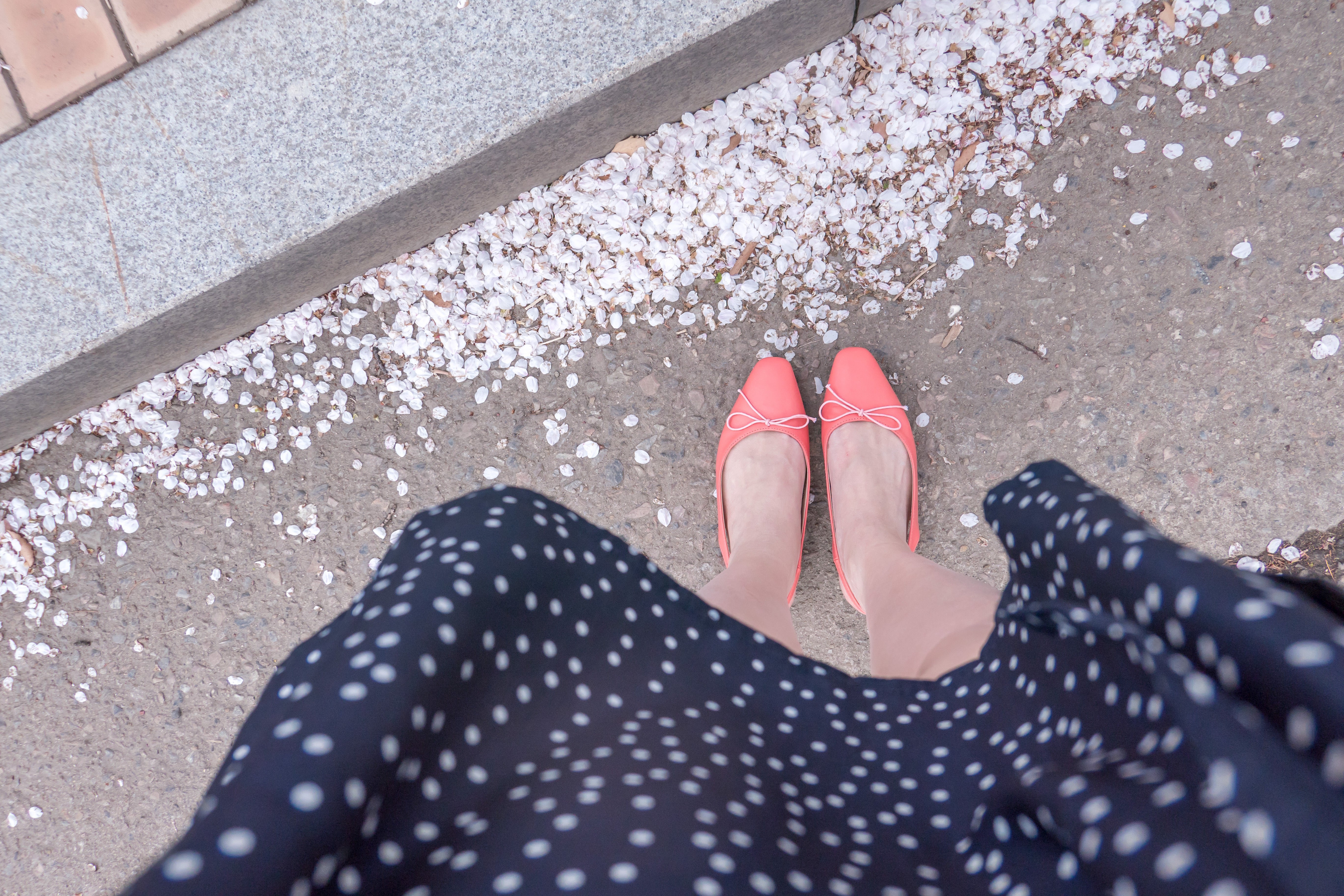Coral ribbon, Shoes/ SH8036 $329