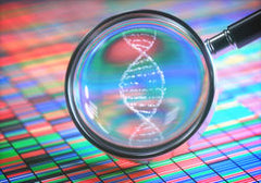Nutrigenomics related research papers