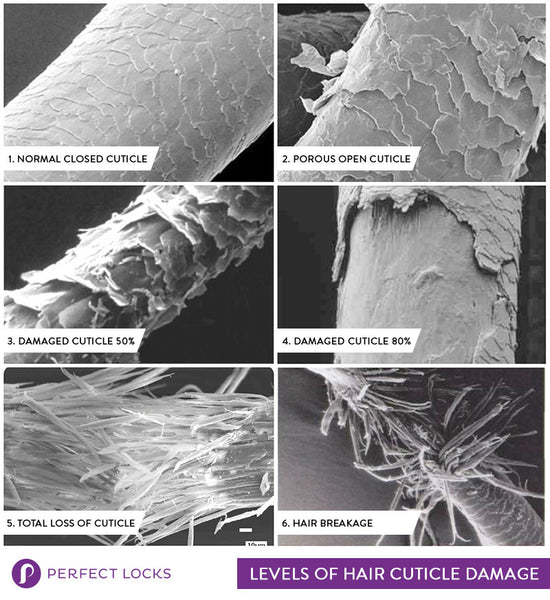 levels of hair cuticle damage