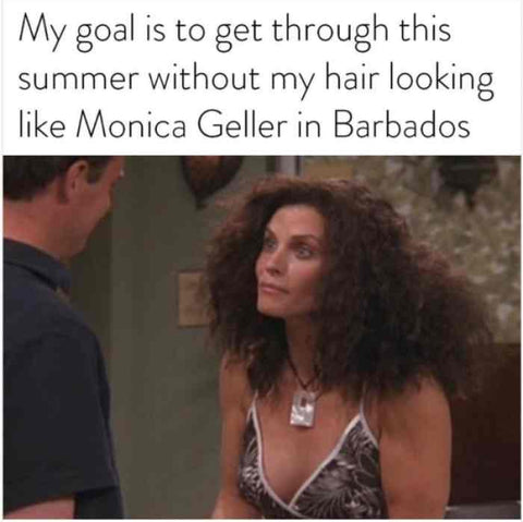 monica geller meme