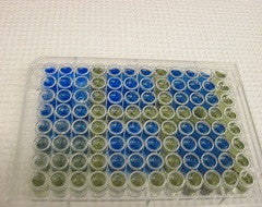 ELISA Kit for Activin A (ACVA) - Rat