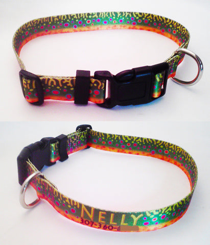 brook trout flyfishing dog collar for the dog that loves to fly fish in the mountains