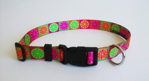 Key West Dog Collar personalized florida citris lime,lemon, orange, grapefruit