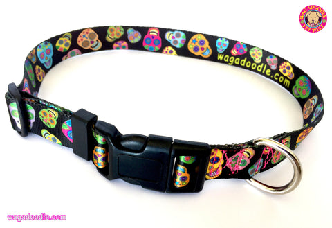 sugar skulls dog collar from Key West Artist