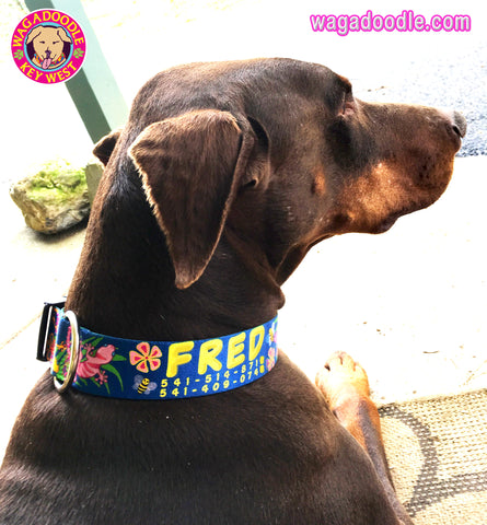 key west gecko dog collar 