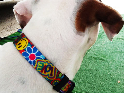 Peace love and Key West groovy hippie dog collar