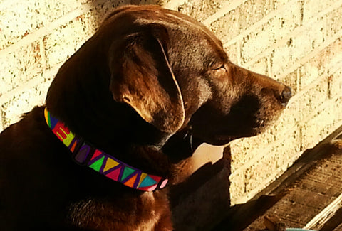 Hershey in his personalized Mayan Weave design Key West